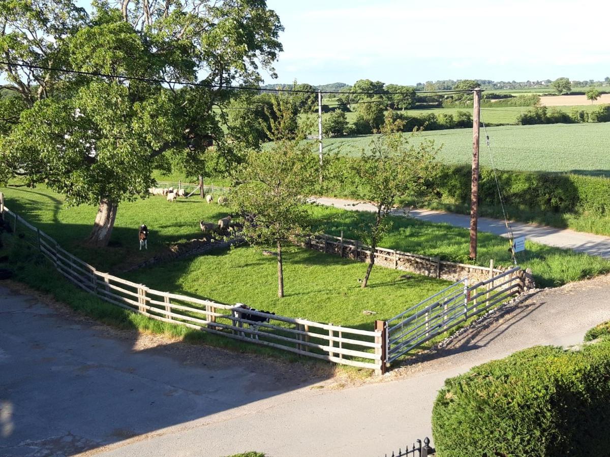 Upper Eyton Farmhouse B&B Alberbury Buitenkant foto